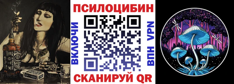 Псилоцибиновые грибы мицелий  Купить  Шилка 